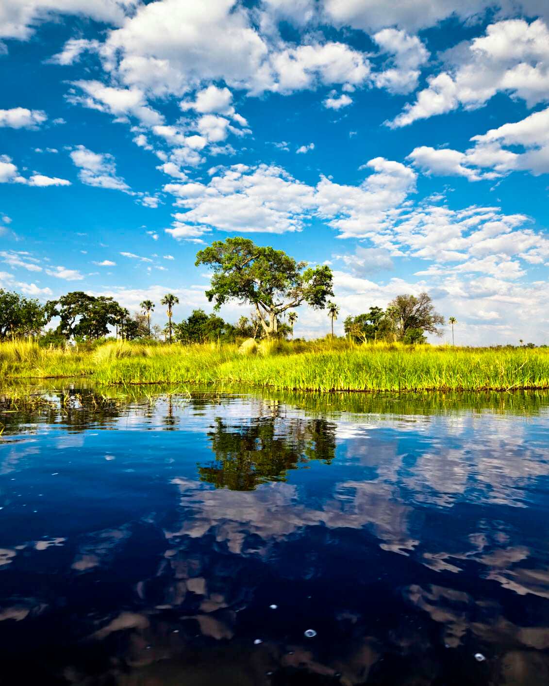 Beyond the 4Cs: Taking Steps to Reduce Our Footprint