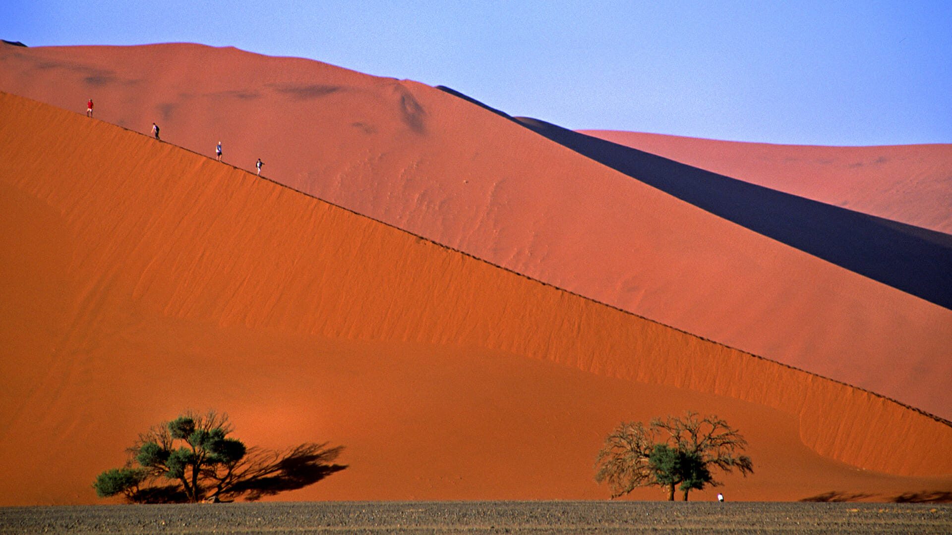 destination diamonds namibia africa travel sand