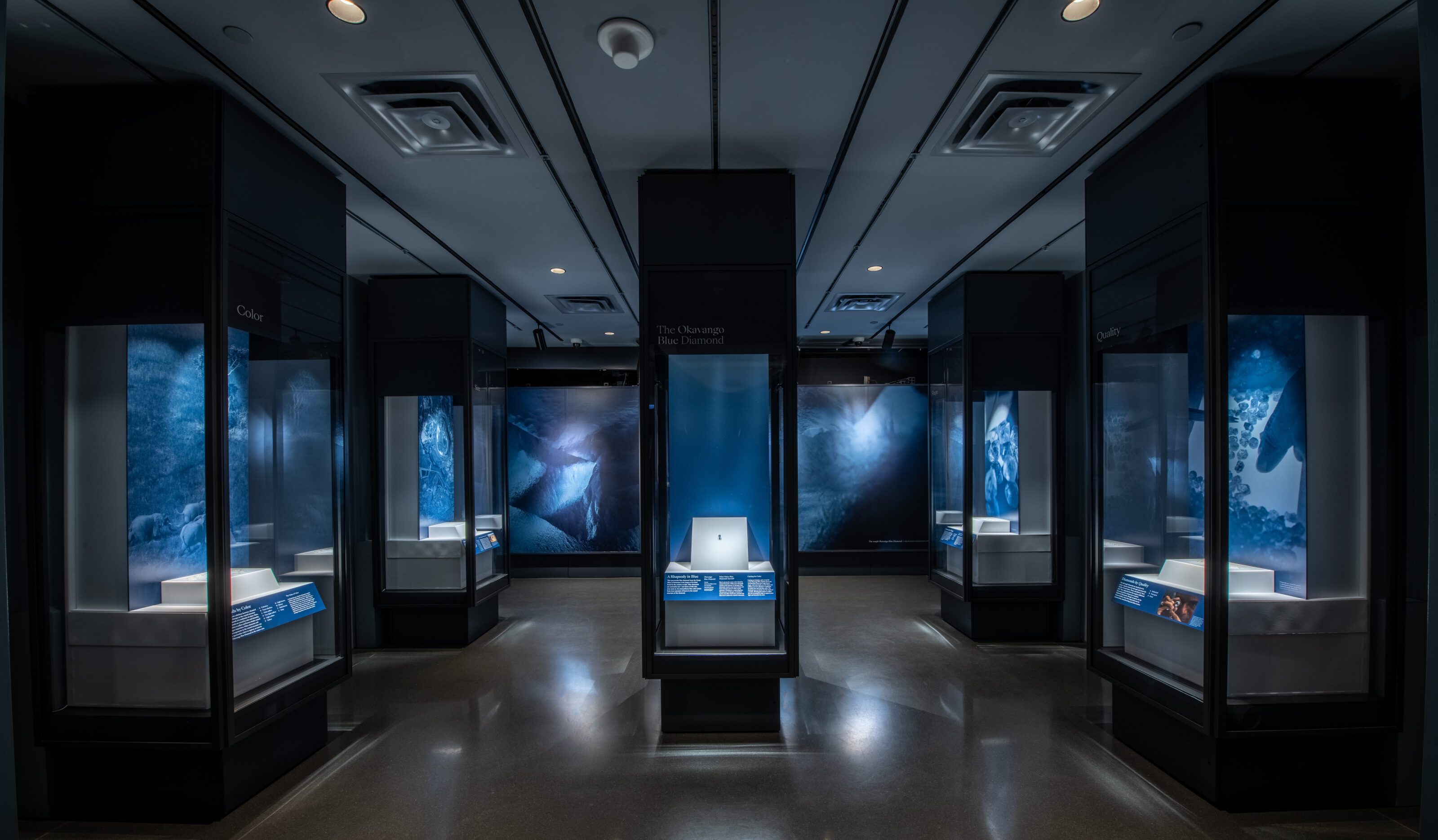 Okavango Blue Diamond on exhibit at the American Museum of Natural History