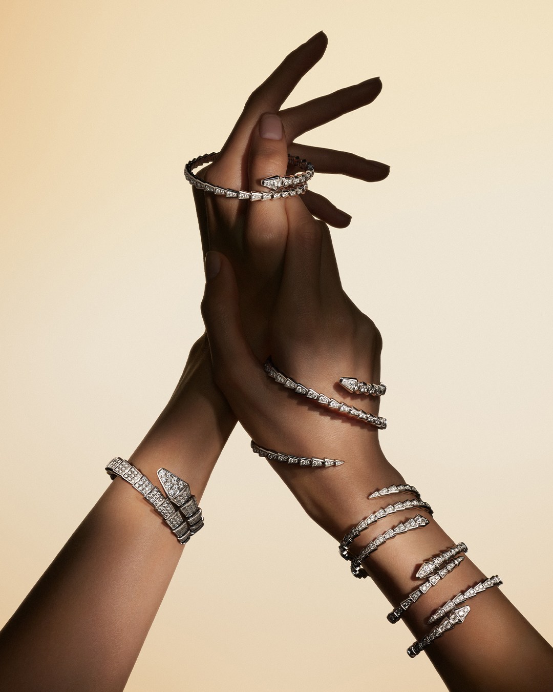 bulgari serpenti