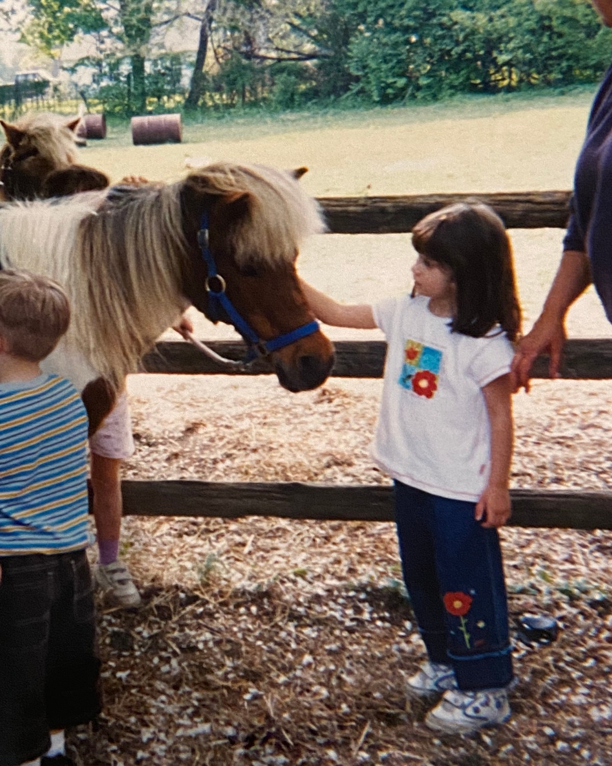 The author meeting a horse for the first time. (Courtesy of Anna McFillin)