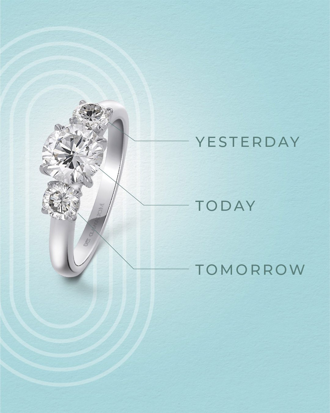 Diamond engagement ring proposal