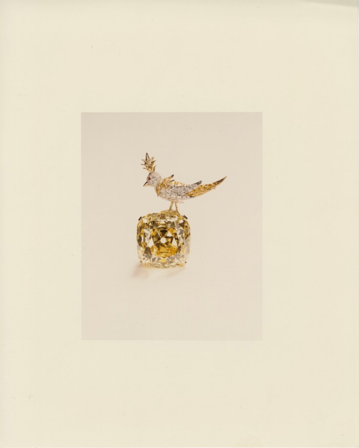 Bird Jewelry The Tiffany Diamond, Set in the Bird on a Rock Setting. (Courtesy of Tiffany & Co.)