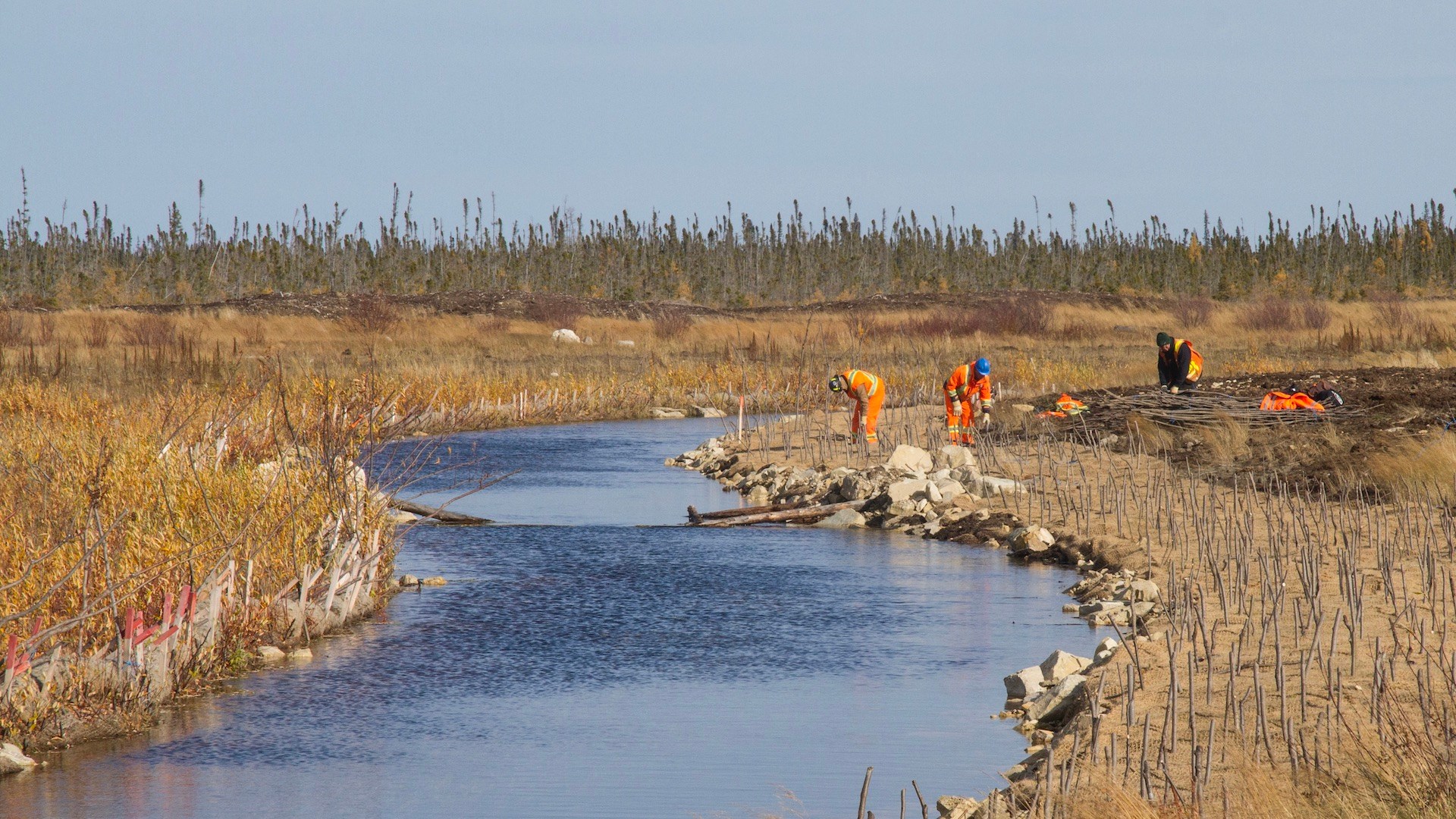 Diamond mine closure: Planting stakes at De Beers’ Victor diamond mine in Canada as part of the award winning post-closure reclamation program.