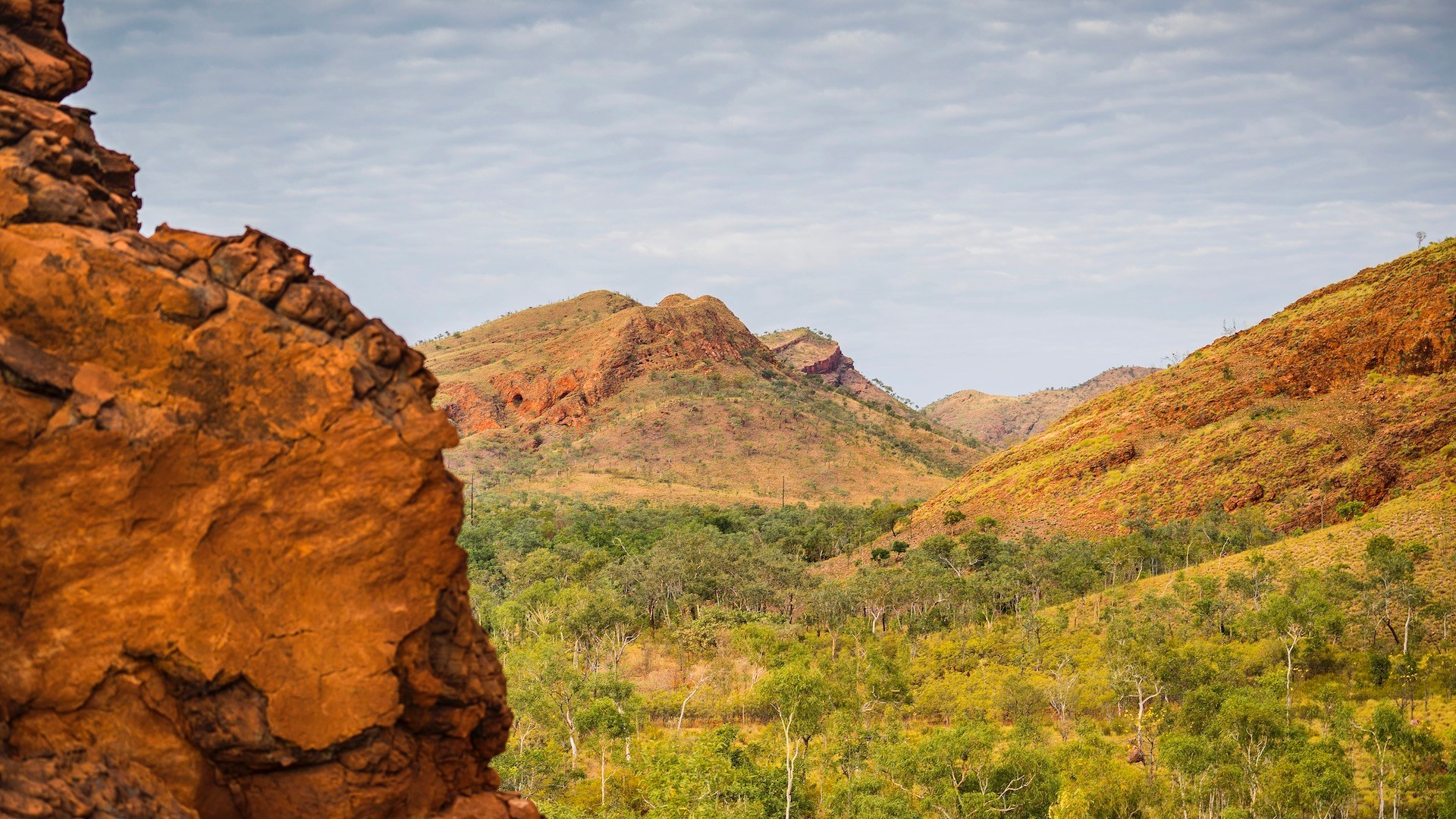 Diamond mine closure: Nature surrounding Rio Tinto's Argyle Diamond Mine in Western Australia since it has closed.