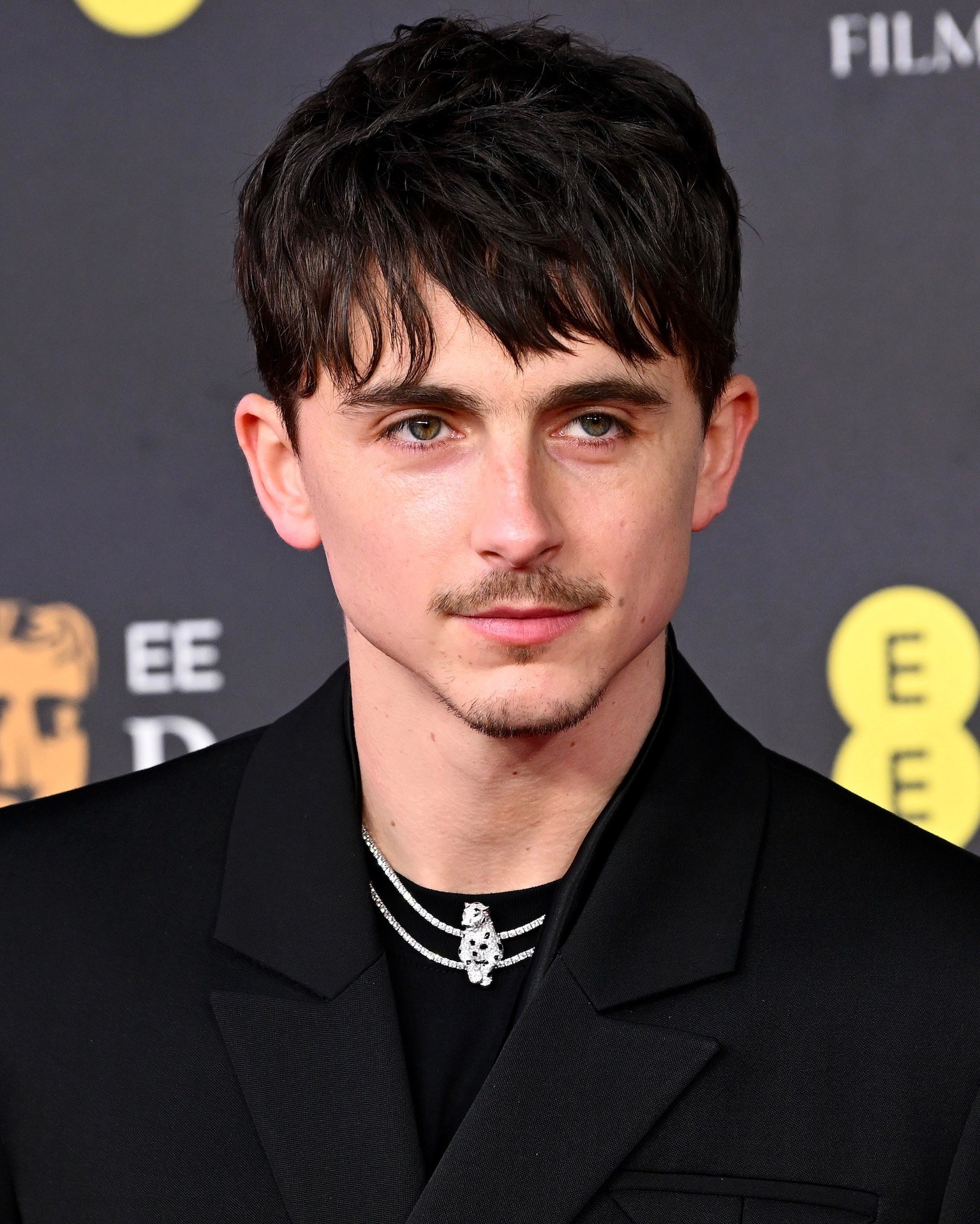 animal jewelry: cartier panthere Timothée Chalamet