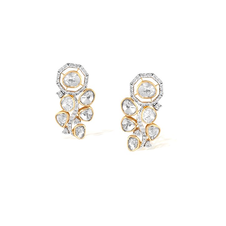 Stylish Nornament diamond earrings