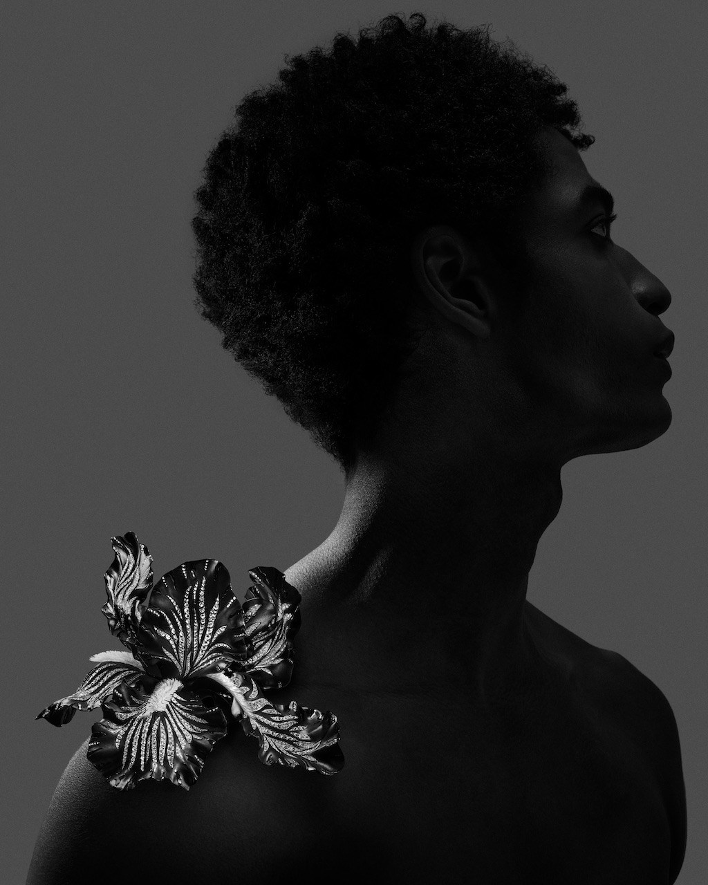Boucheron High Jewelry