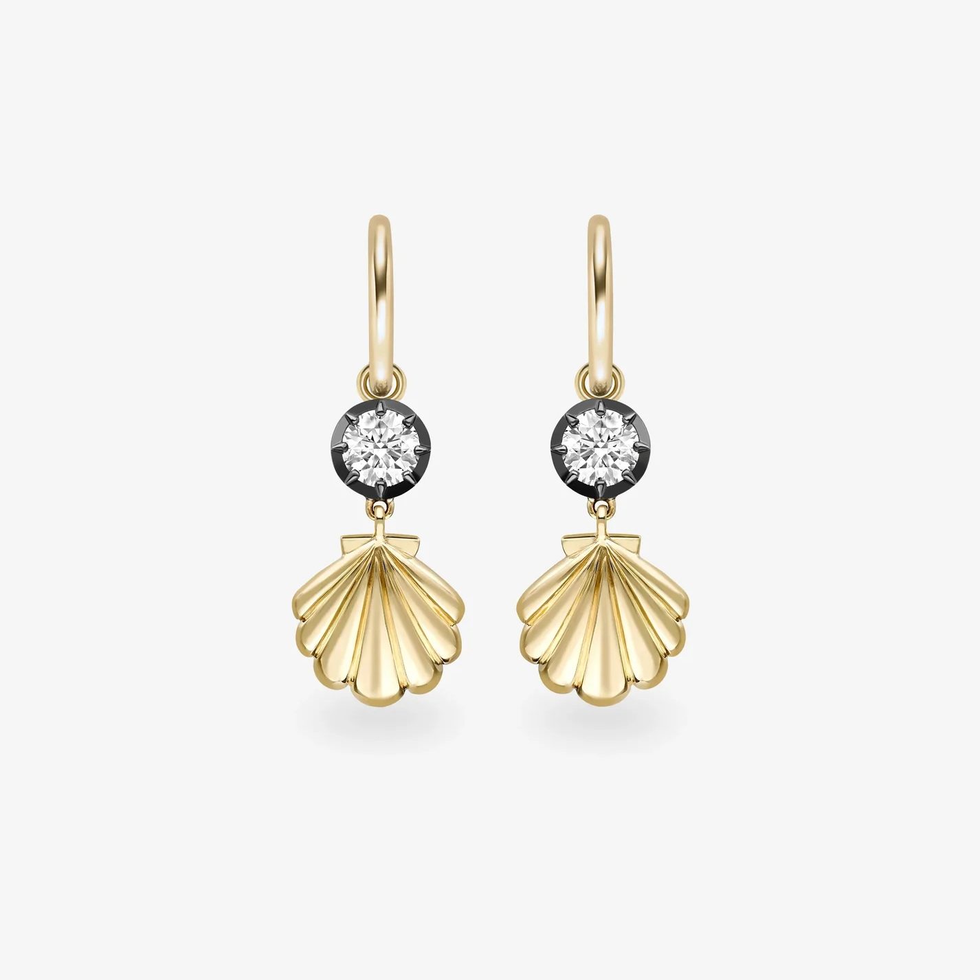 shell jewelry: shell earrings