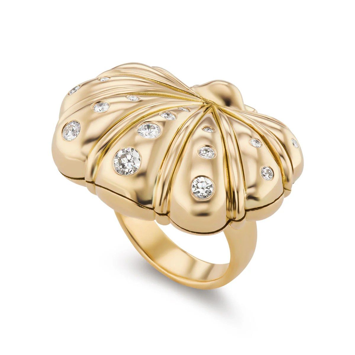 shell jewelry: shell ring
