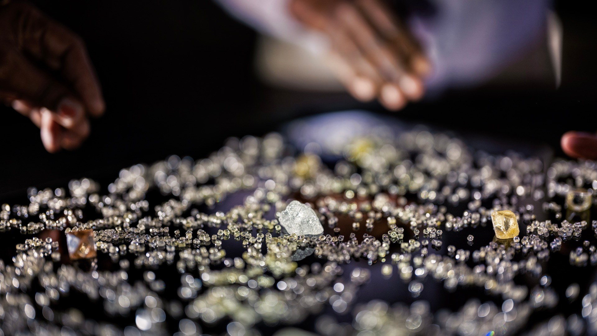 Rough diamonds laid out from Botswana in the 2025 Jared film by director Luc Jacquet, A Diamond is Born.
