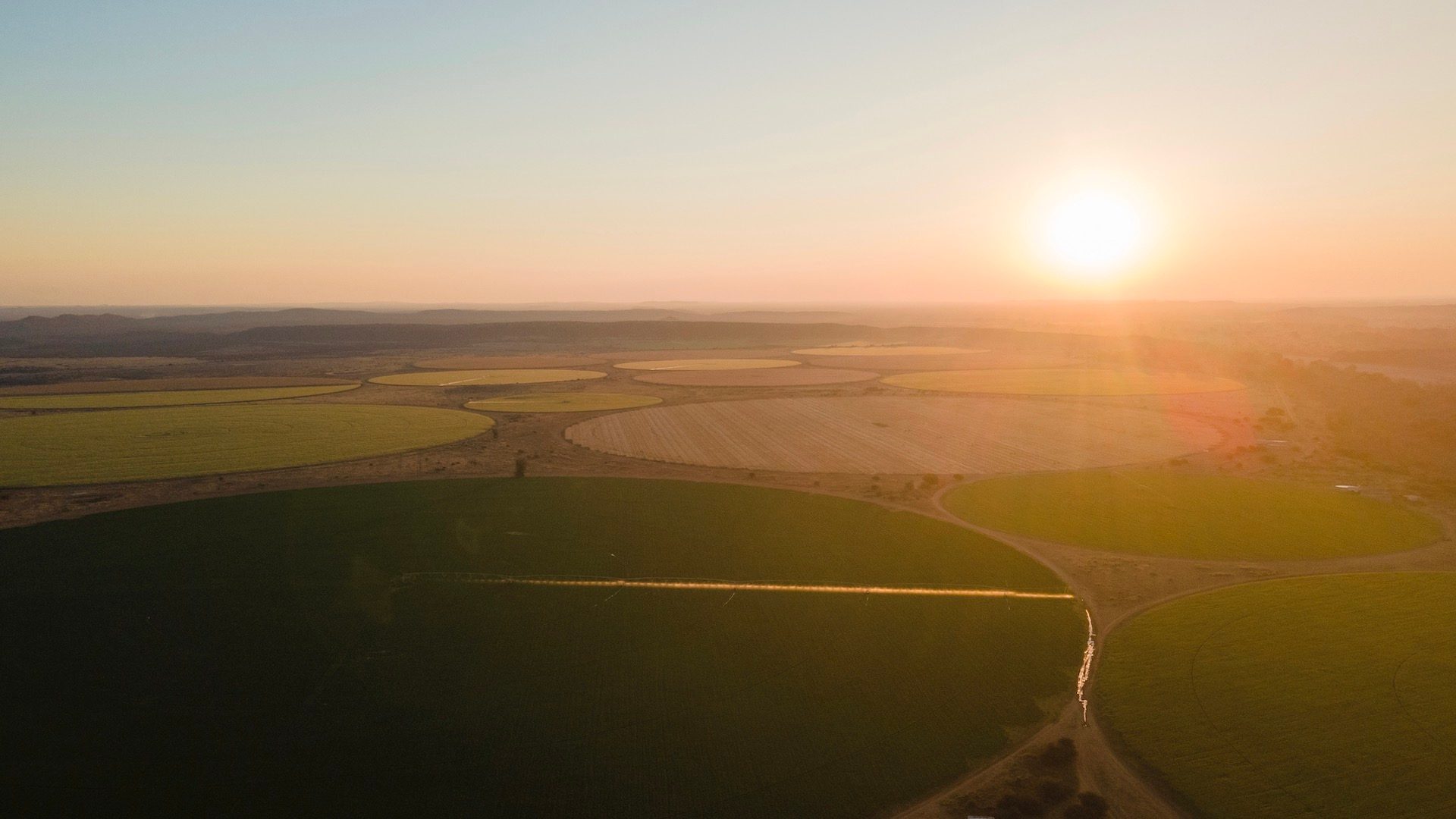 Natural diamonds community development: Kwenantle Farms is one of several success stories resulting from the Stanford Seed Transformational program, an initiative supported by De Beers to help local businesses thrive.