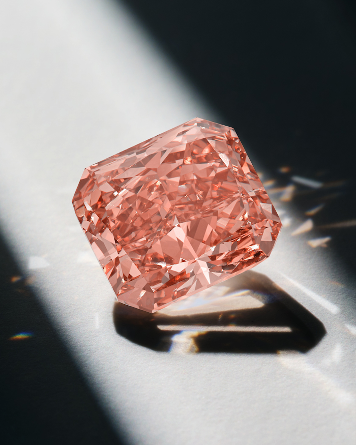 Gabriela Hearst x Sotheby's