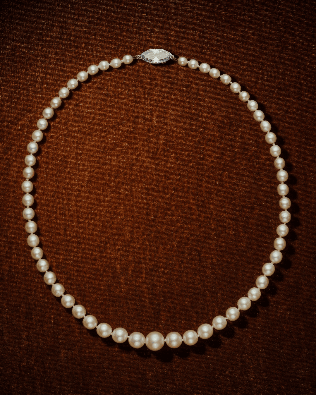 Gabriela Hearst x Sotheby's