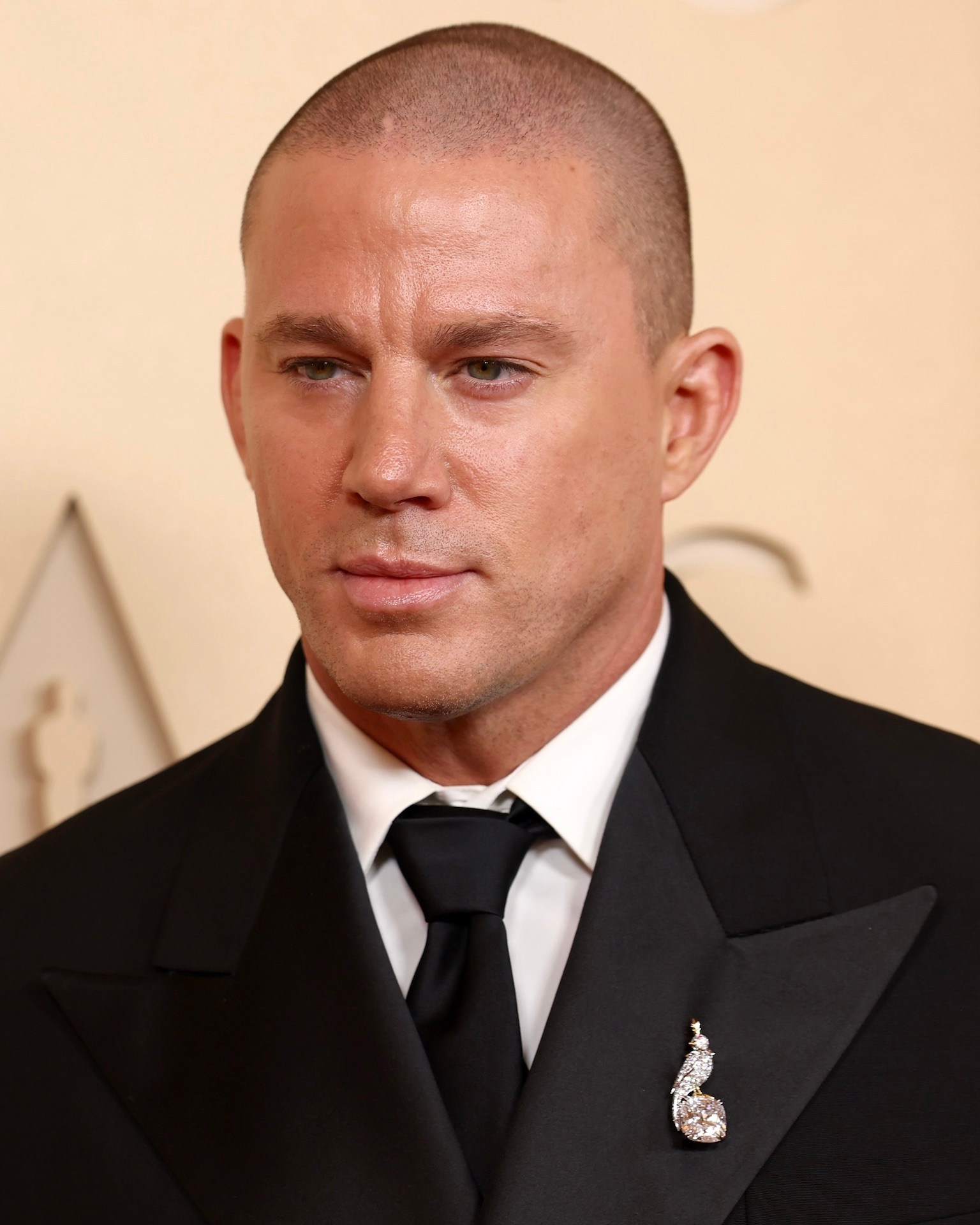 Channing Tatum Wore Tiffany & Co. Jewelry to the Oscars 2026 Diamond Bird on a Rock Brooch