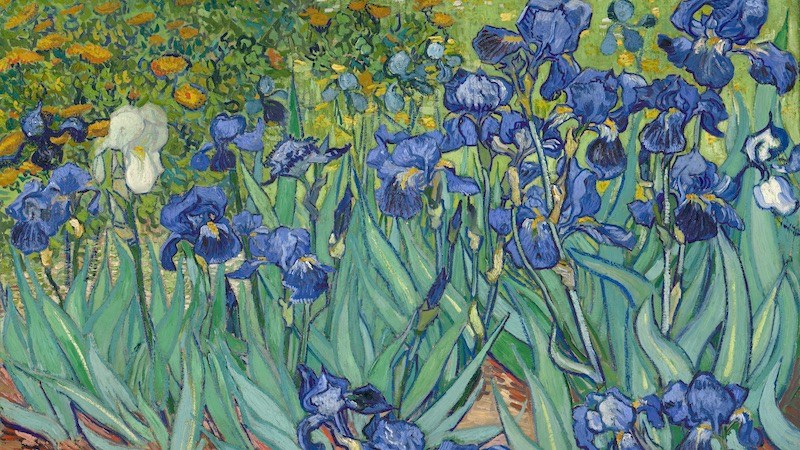 art-inspired jewelry, jewelry inspired by art: Irises by Vincent van Gogh, 1889. (Wikimedia Commons/ Public Domain)