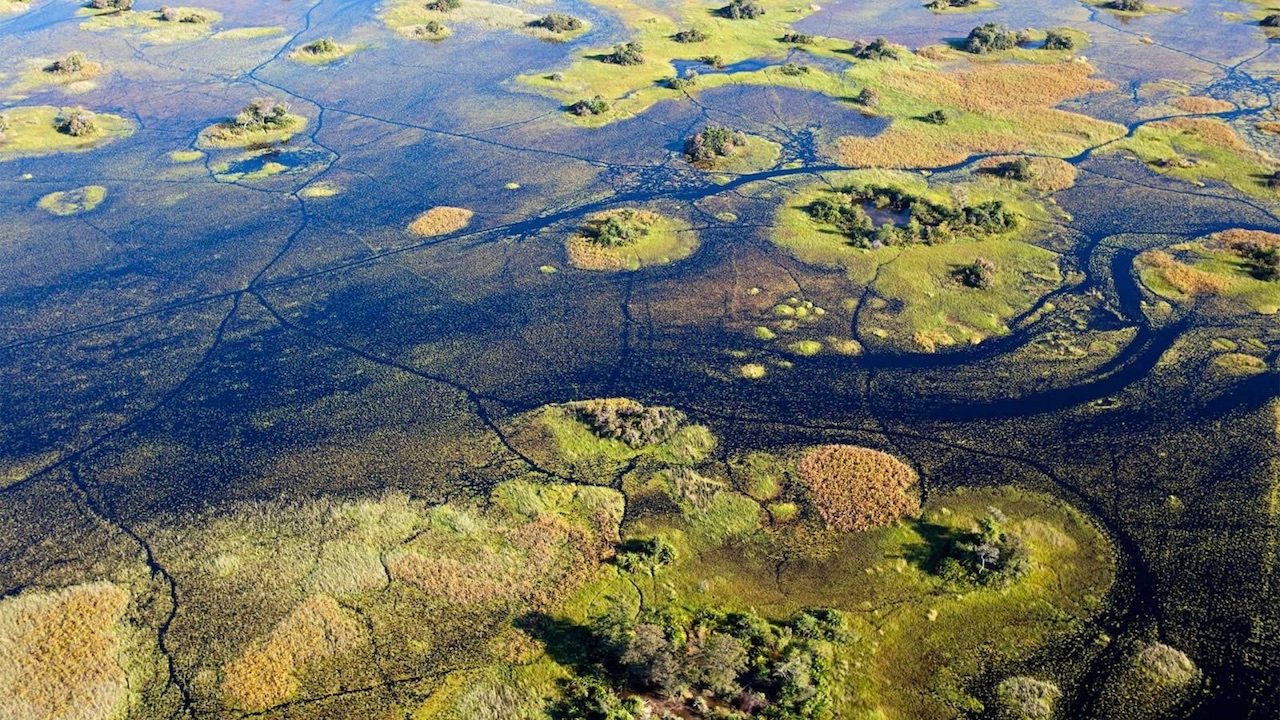 Botswanamark Okavango Delta (Courtsey of Jay Roode)