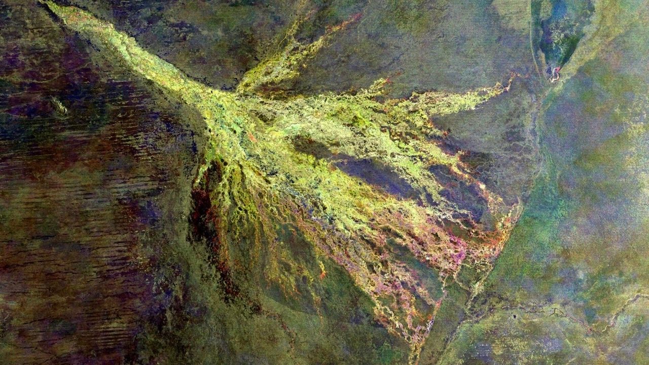 Botswanamark Okavango Delta taken from Space (Courtsey of the European Space Agency)
